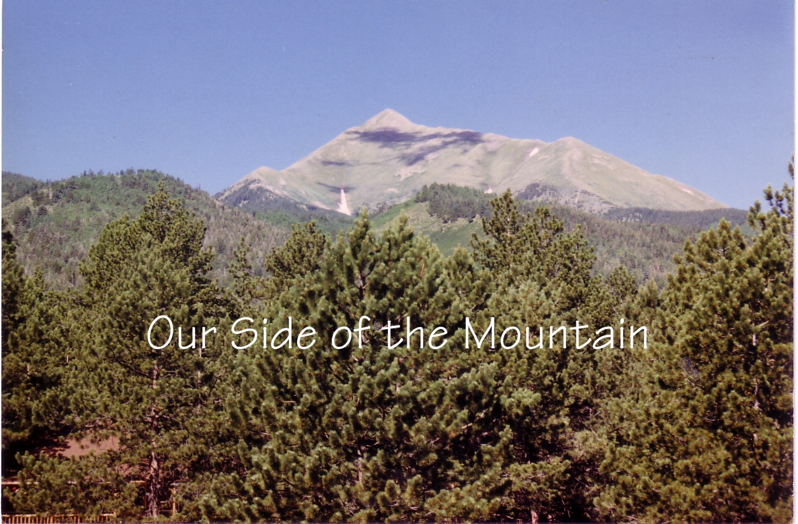Our Side of the Mountain.jpg